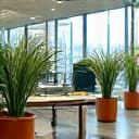 モダンなオフィス空間と働く人々